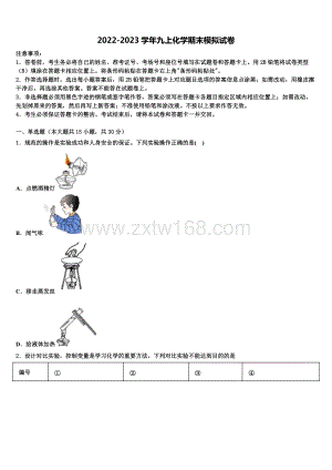 2022年山东省日照实验中学九年级化学第一学期期末统考试题含解析.doc