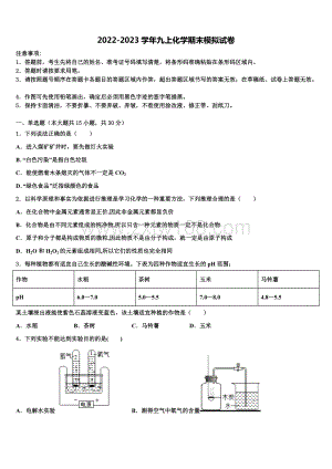 2022年内蒙古巴彦淖尔市磴口县化学九上期末统考模拟试题含解析.doc